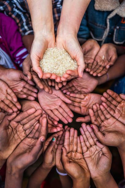 Non-Profit & NGOs